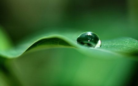 002-01498_waterorb_1920x1200.jpg.medium.jpeg