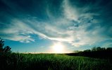 006-01537_grassysunset_1920x1200.jpg.small.jpeg