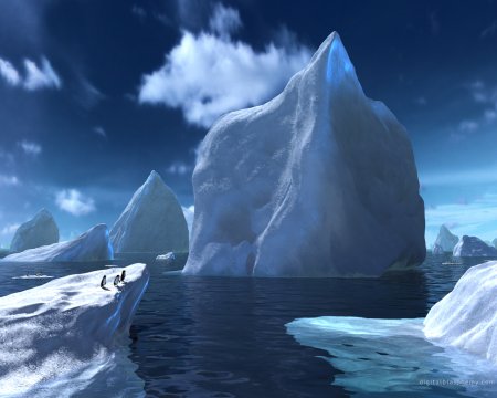 087-arctica1280.jpg.medium.jpeg