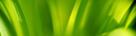 130-Herbal-3840x1024.jpg.medium.jpeg