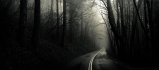 133-intoTheMist.jpg.small.jpeg
