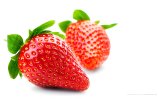 169-Strawberries_1920x1200.jpg.small.jpeg
