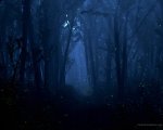 170-summerwood1280.jpg.small.jpeg