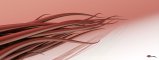 174-Tentasticles-2560x960.jpg.small.jpeg