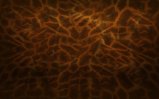 185-ubuntu-giraffe-1680-1050.png.small.jpeg